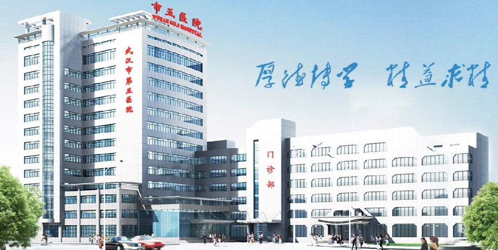 武汉市第五医院